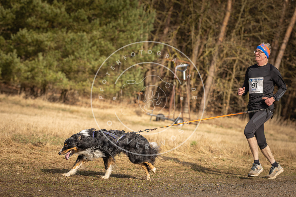 DV3A3847 | Hundefotografie, Tierfotograf, Pfotenfotografie, Fotoshooting Hund, Hunde Portrait, Hundesport, Hundeportraits, Heideshooting, Hunde, Sportfotograf, Hundefotograf, Turnierhundsport, THS,  - Realisiert mit Pictrs.com