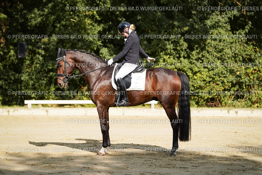 DSC07901 | Pferdegrafie