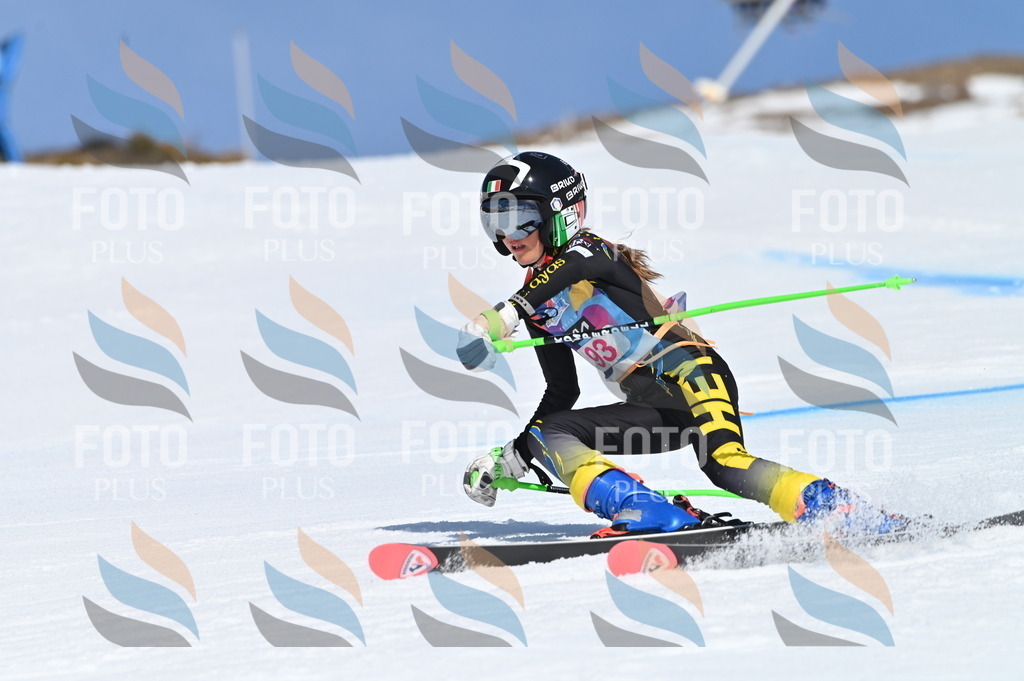 BGV_9321 | holidayphoto