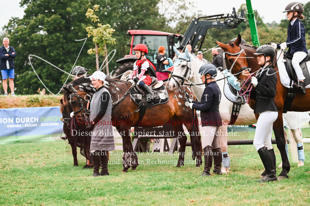 DSC_7446 | Pferde- und Turnierfotografie in Westsachsen. Pferdeportraits, Auftragszeichnungen und intuitive Kunst.