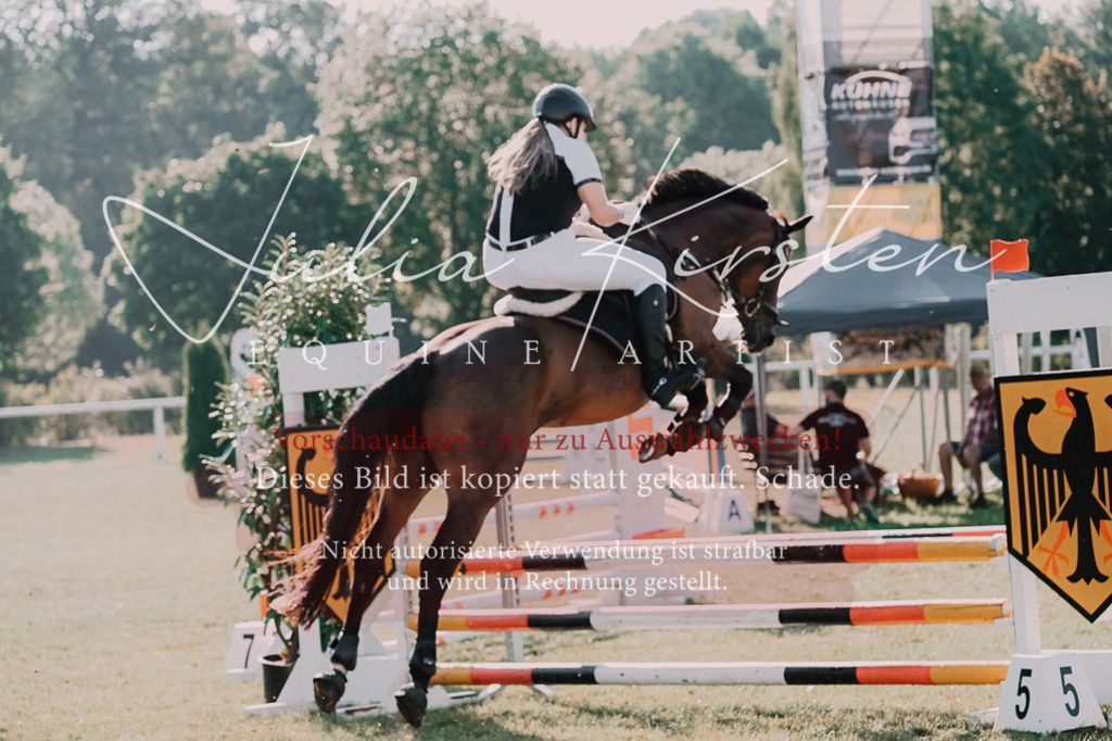 DSC_4600 | Pferde- und Turnierfotografie in Westsachsen. Pferdeportraits, Auftragszeichnungen und intuitive Kunst.
