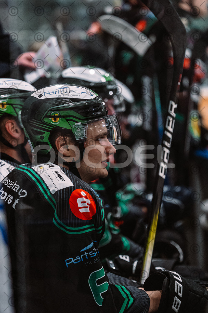 Alligators_vs_Passau_26_12_2025-066 | Höchstadt Alligators Fotogalerie: Eishockey-Action aus Franken. Professionelle Spielfotos, Portraits & Stadionbilder zum Download. Jetzt entdecken! - Realisiert mit Pictrs.com