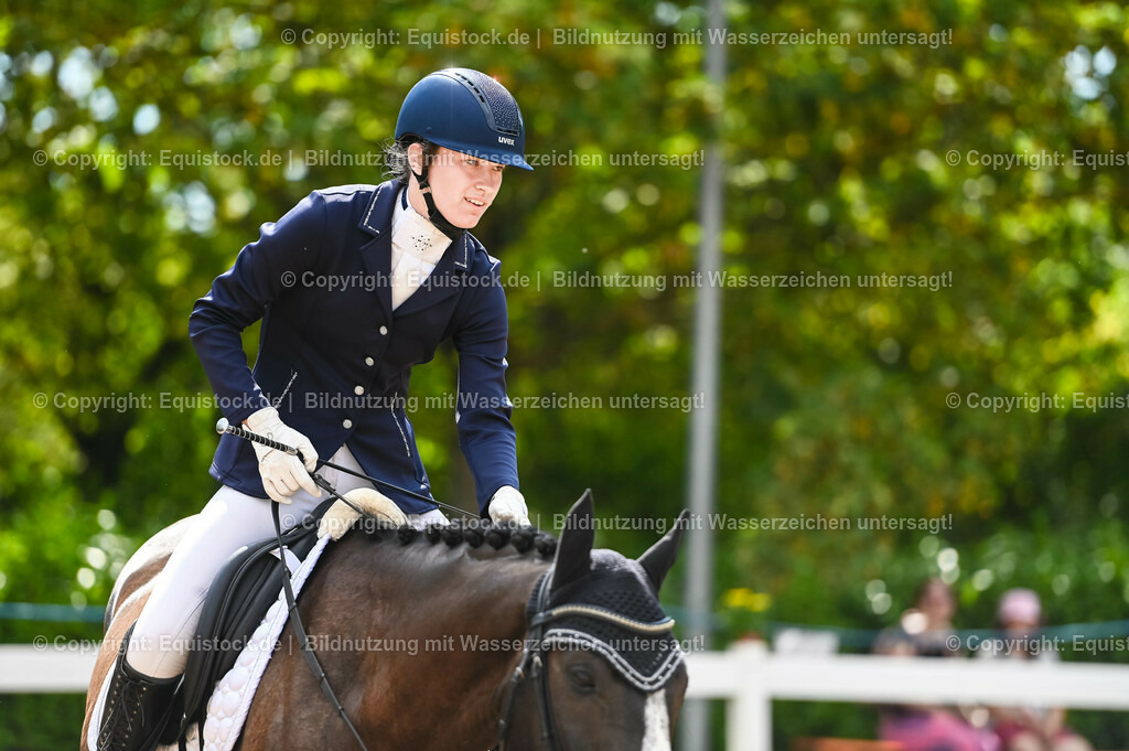 20230715_07_Dressurpferdeprfg. Kl.L_0017 | equistock