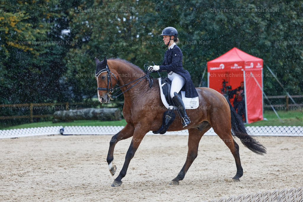 8_2-149-DRESSUR S_  -StoibPH-4473 | working equitationturnier fotograf videograf stoibphotography marixx film working equitation deutschland reitsport turnierfotografie eventfotografie equestrian events