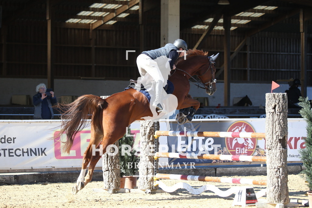 DL2Q3319 | Willkommen bei Brunnmayr - Design & Fotografie – Ihrem Spezialisten für Reitturniere und Pferdeveranstaltungen in Oberösterreich, Salzburg und Bayern! Seit über 17 Jahren sind wir leidenschaftlich dabei.