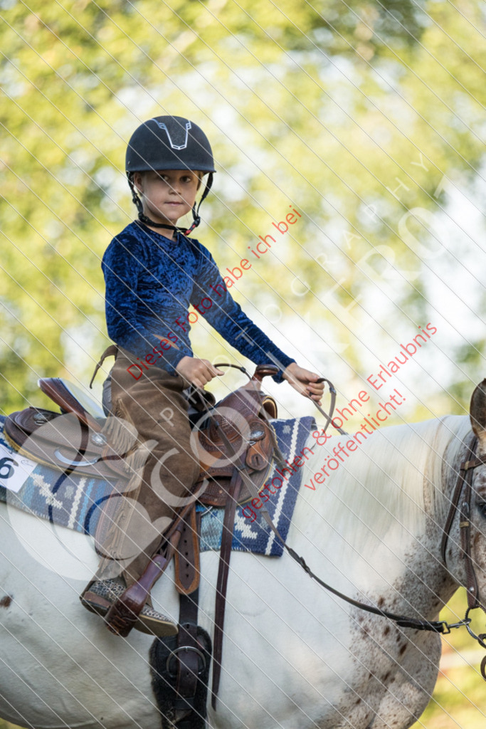 IMG_6208 | Sport-, Event- und Tierfotos in Profiqualität. Einfach auswählen, bestellen und herunterladen. Dein Moment – perfekt festgehalten.
