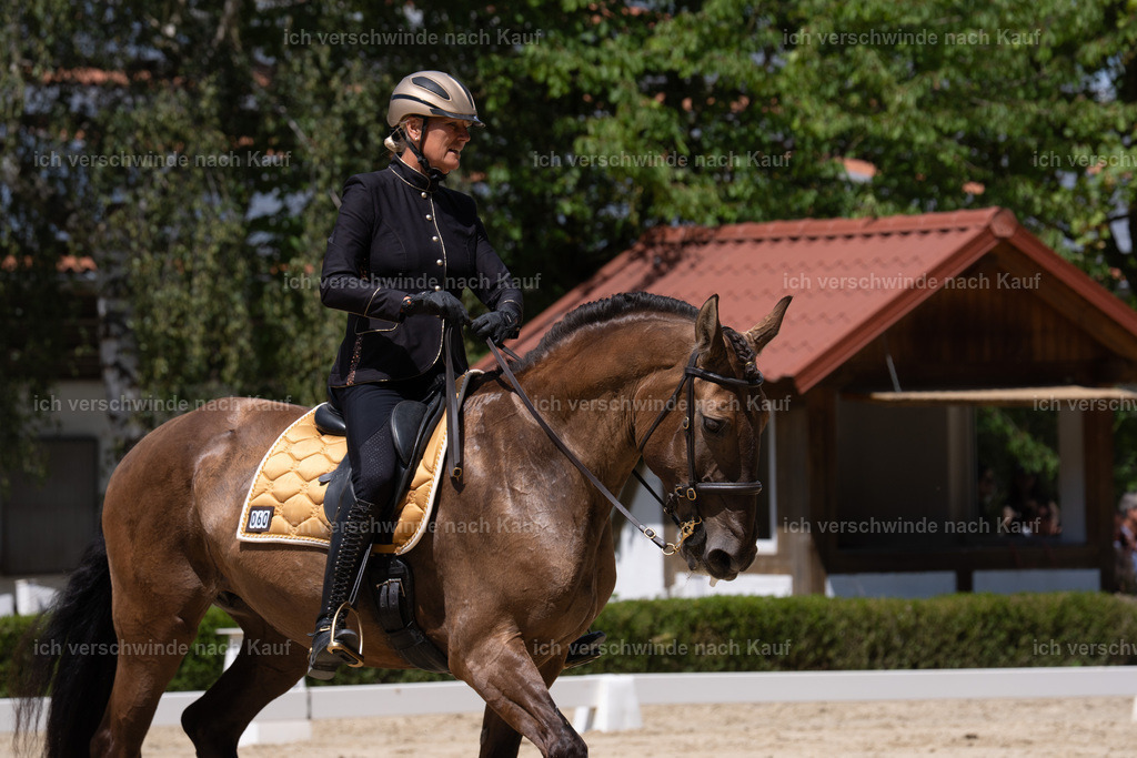 WS_DR_60_sinafilmart_IN02620 | working equitationturnier fotograf videograf stoibphotography marixx film working equitation deutschland reitsport turnierfotografie eventfotografie equestrian events
