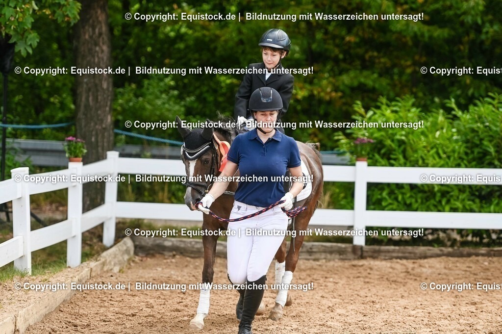 20230716_11_Führzügel-WB_0123 | equistock