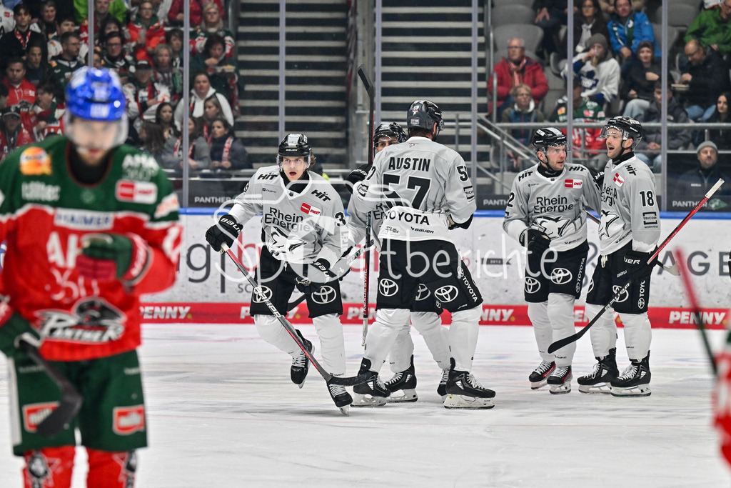 Augsburger Panther - Kölner Haie | Jubel der Gaeste nach dem Treffer zum 1-2 / Tor / Freude / happy / DEL: Augsburger Panther - Kölner Haie, Curt Frenzel Stadion am 29.09.2024