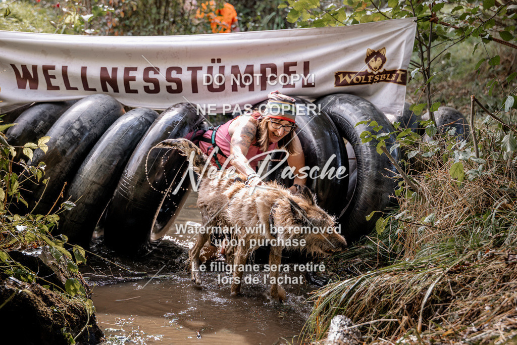 nelerasche_Hunsrück2026_Sa1400-1500_229 | nelerasche