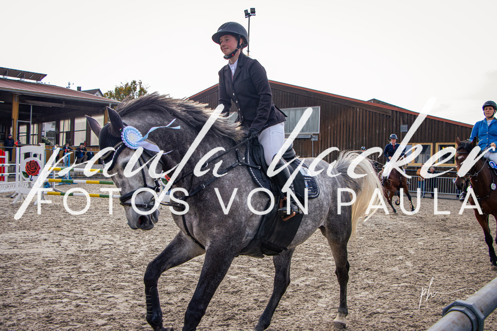 IMG_4588 | Erleben Sie dynamische Sport- und emotionale Tierfotografie in Süddeutschland mit Fotos von Paula. Spezialisiert auf Pferde- und Hundefotografie sowie Sportevents. Kontaktieren Sie mich für einzigartige und ausdrucksstarke Bilder Ihrer besonderen Momente. - Realisiert mit Pictrs.com