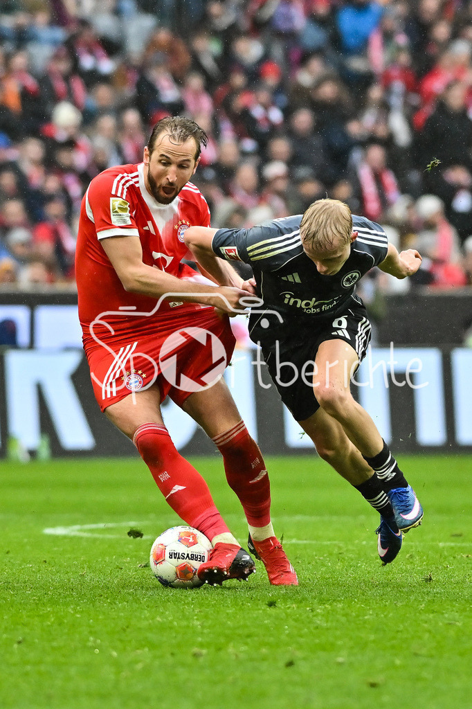 FC Bayern München - Eintracht Frankfurt | MUNICH, GERMANY - 21. FEBRUARY: im Duell Harry KANE (FC Bayern Munich 9) und Oscar HOJLUND (Eintracht Frankfurt 6) während dem Bundesligamatch zwischen dem FC Bayern München und der SG Eintracht Frankfurt am 23. Spieltag in der Allianz Arena / DFL REGULATIONS PROHIBIT ANY USE OF PHOTOGRAPHS AS IMAGE SEQUENCES AND/OR QUASI-VIDEO