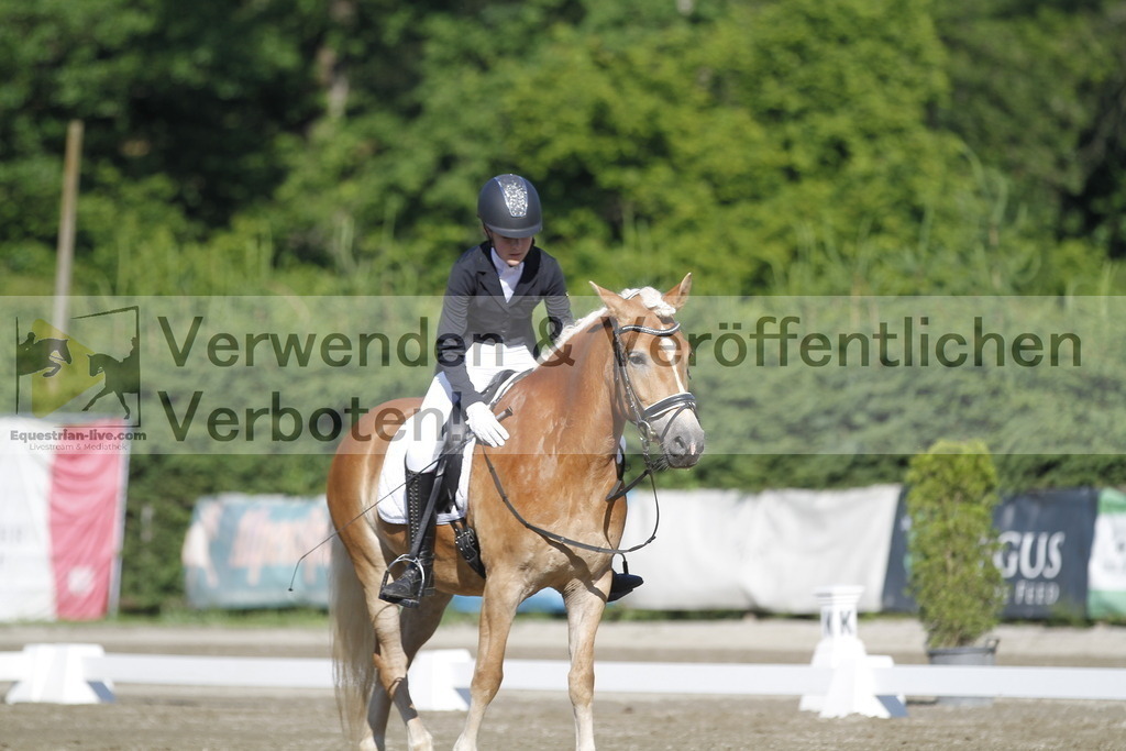 _MG_0568 | equestrian-live-com