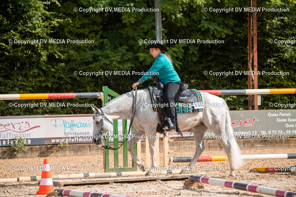 ZS3_9256 | dv-media-shop - Realisiert mit Pictrs.com