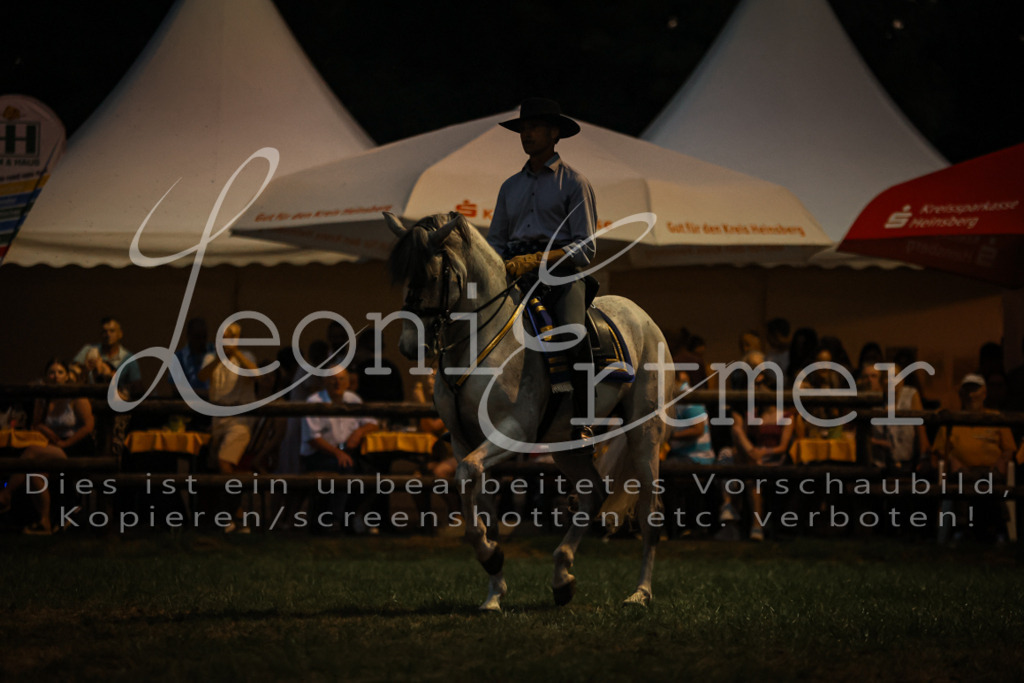 SaShow00267 | Leoni Ertmer Photography - Realisiert mit Pictrs.com