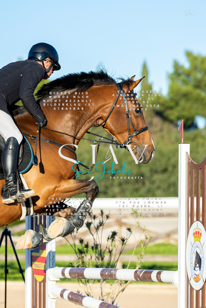 IMG_5768 | s-jay-photography - Realisiert mit Pictrs.com