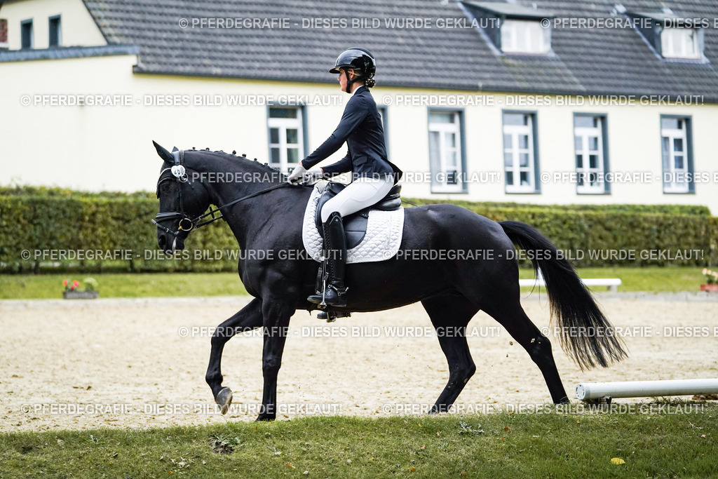 DSC00182 | Pferdegrafie