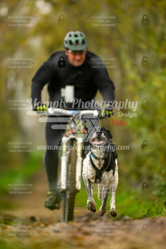 MompixPhotography_20TSB_E6_Bike-139 | PayLife