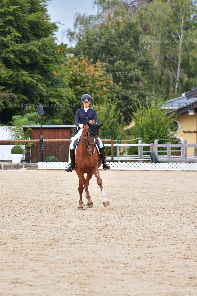 11-238-Dressur S___-Marixx-1759 | working equitationturnier fotograf videograf stoibphotography marixx film working equitation deutschland reitsport turnierfotografie eventfotografie equestrian events