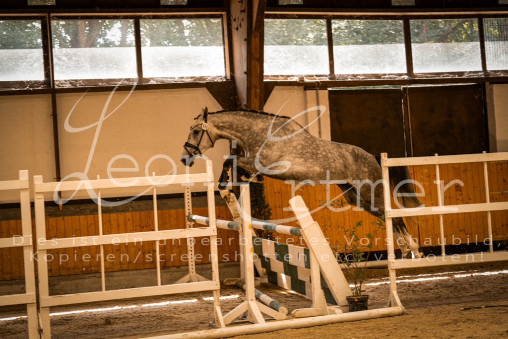 FrFS00014 | Leoni Ertmer Photography - Realisiert mit Pictrs.com