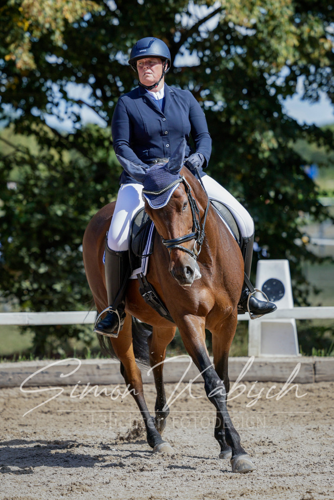 20250906-_3LI4864 | Tierfotografie Pferde, Hunde, Katzen, Haustiere.
Turnierfotografie Reitturniere, Reiten, Springreiten, Dressur in Hanau, dem Main-Kinzig-Kreis und dem Rhein-Main- Gebiet um Frankfurt