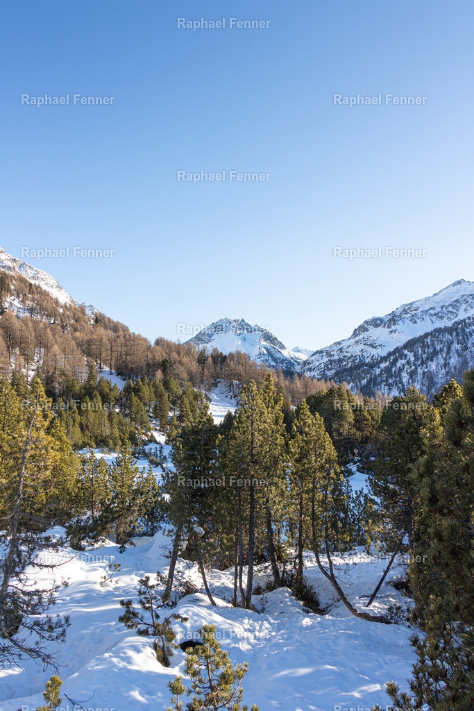 Verschneite Berge bei Maloja | Erlebe eindrucksvolle Landschaftsfotografie aus dem Engadin und darüber hinaus. Raphael Fenner bietet zudem professionelle Fotoaufträge für Hochzeiten, Porträts und Unternehmen. Jetzt entdecken und inspirieren lassen!