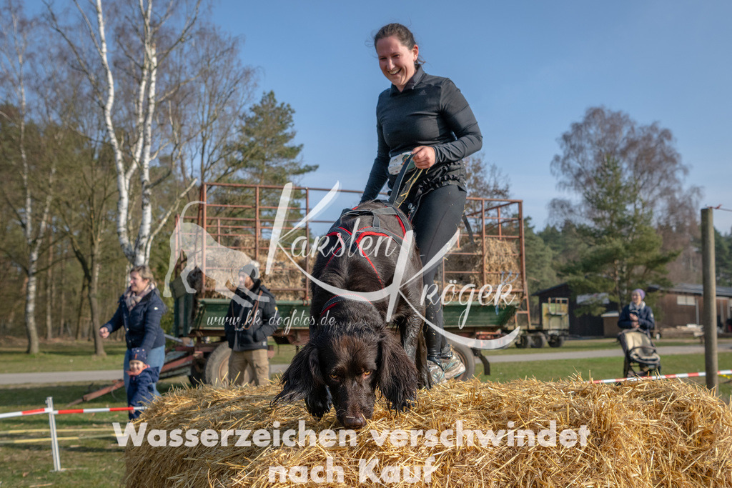 _ZZ93106 | kk-dogfotos