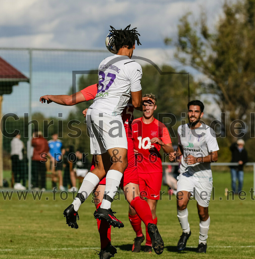 2023-10-22_052_SpVgg_Eichenkofen_gegen_SpVgg_Altenerding_II | Erding, Deutschland, 22.10.2023:
Fußball, A-Klasse 2023 / 2024, 12. Spieltag, SpVgg Eichenkofen gegen SpVgg Altenerding II, Endergebnis: 3:1

+a37+

Foto: Christian Riedel / fotografie-riedel.net