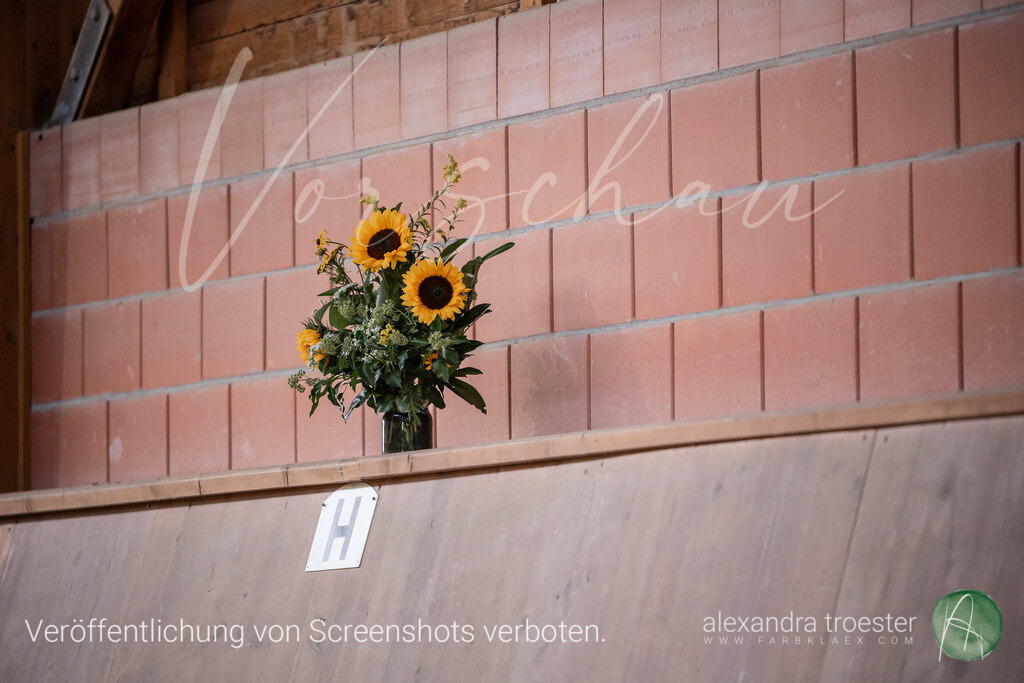 250913_Barop_09_261 | farbklaex.com