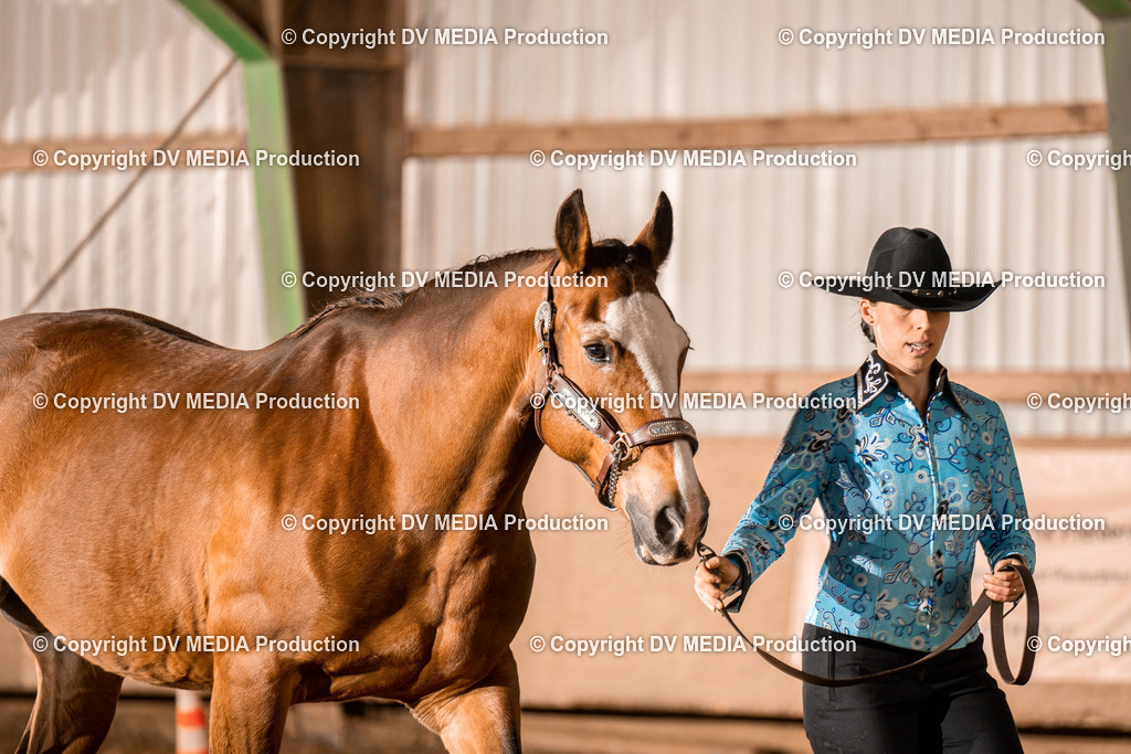 BAL01224 | dv-media-shop - Realisiert mit Pictrs.com