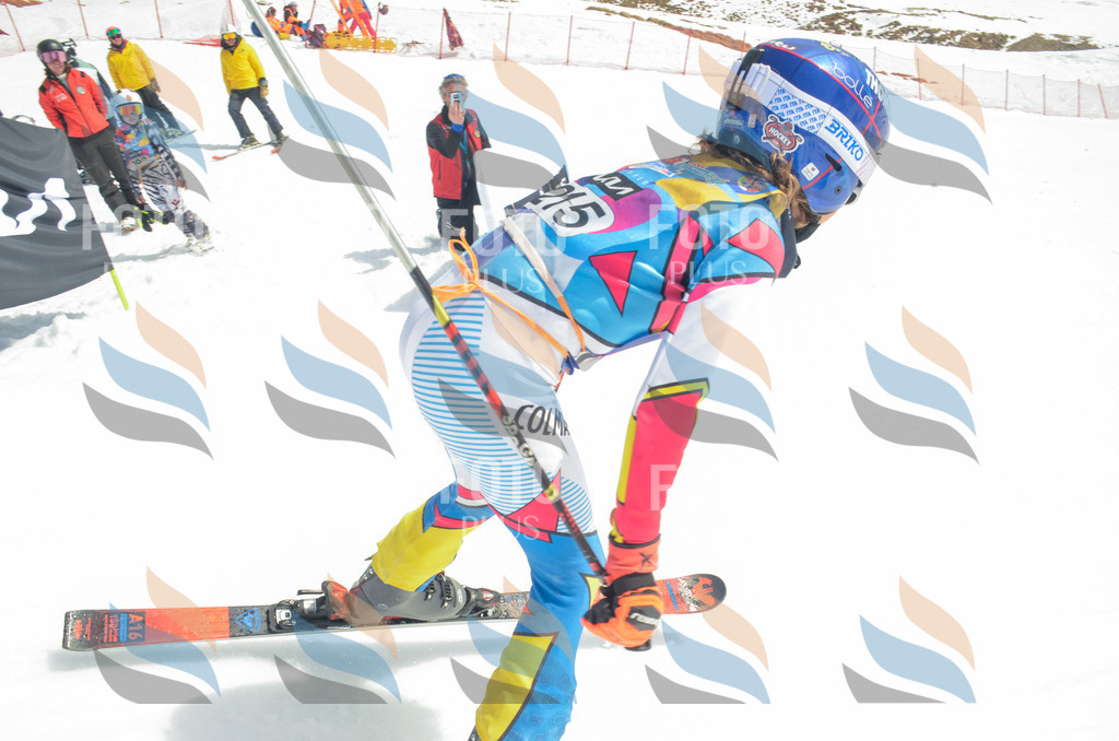 _ELE7105 | holidayphoto