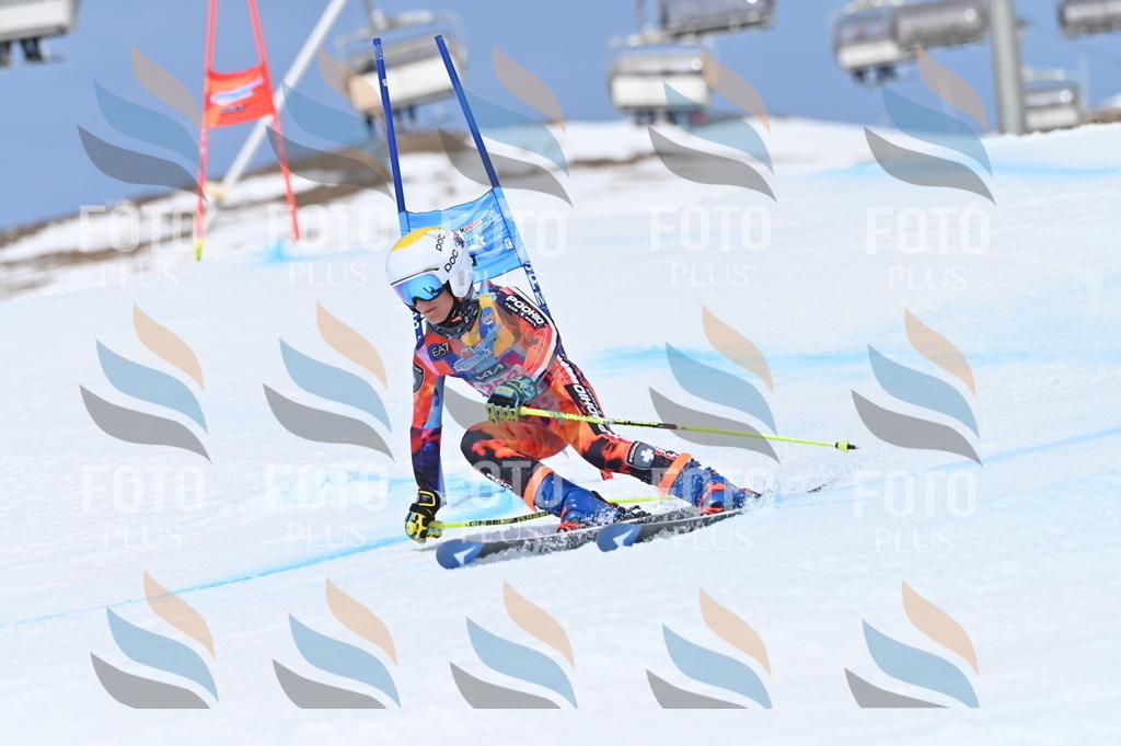 BGV_2036 | holidayphoto