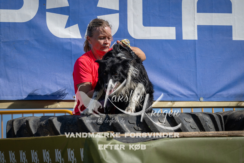 1106_ZZ90667 | kk-dogfotos