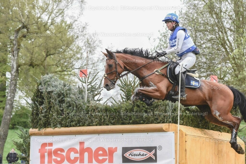 20230513_CCI4_Gelände_0460 | equistock
