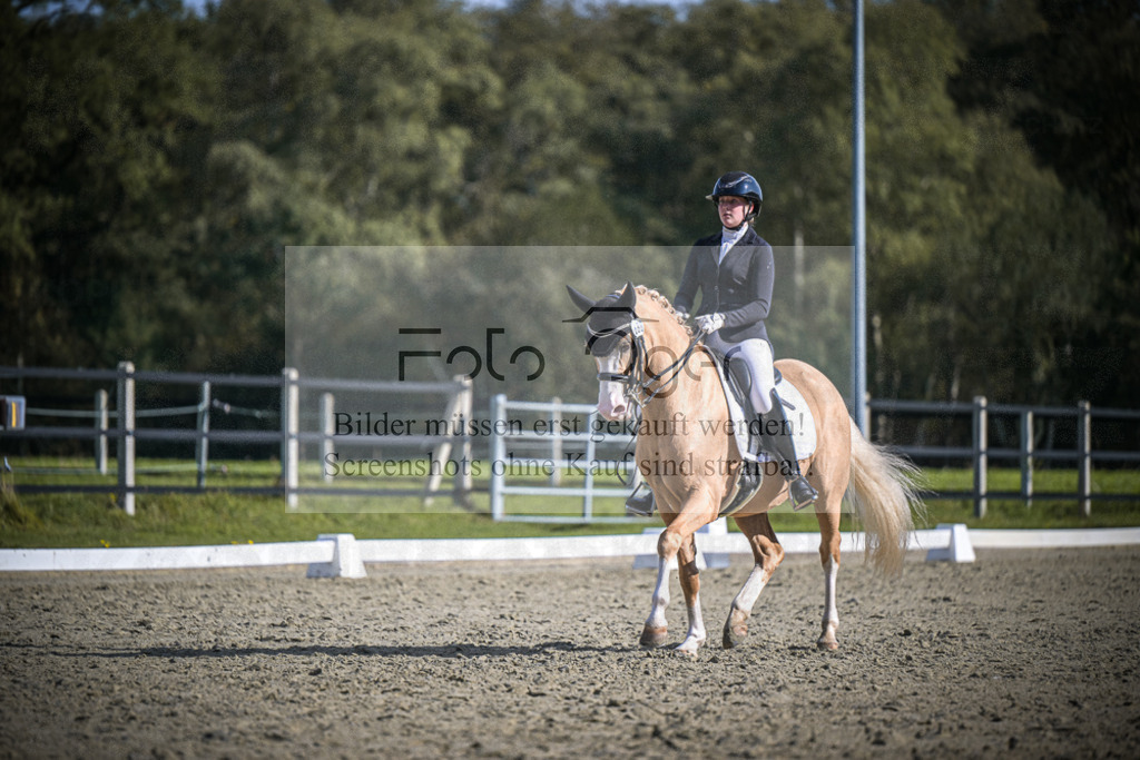 DOS_2053 | Entdecke hochwertige Reitturnierfotos von Foto Oger. Professionell, emotional und authentisch – jetzt Lieblingsmomente im Shop bestellen.Deutschlandweite Turnierfotografie. - Realisiert mit Pictrs.com
