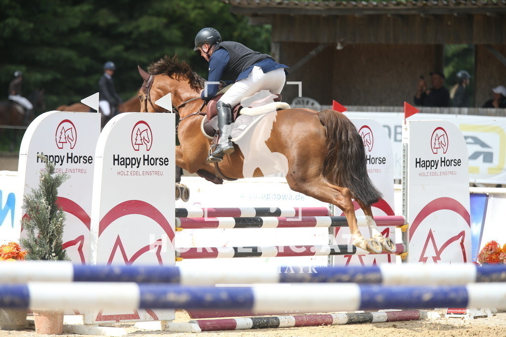 AS8V9651 | Willkommen bei Brunnmayr - Design & Fotografie – Ihrem Spezialisten für Reitturniere und Pferdeveranstaltungen in Oberösterreich, Salzburg und Bayern! Seit über 17 Jahren sind wir leidenschaftlich dabei.