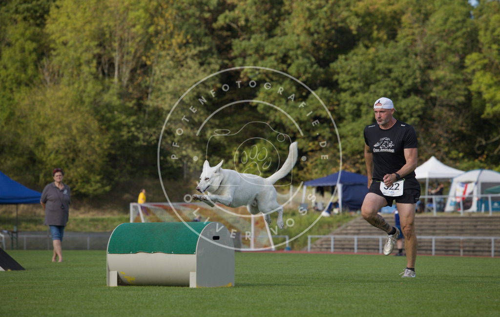 0L8A4108 | Hundefotografie, Tierfotograf, Pfotenfotografie, Fotoshooting Hund, Hunde Portrait, Hundesport, Hundeportraits, Heideshooting, Hunde, Sportfotograf, Hundefotograf, Turnierhundsport, THS,  - Realisiert mit Pictrs.com