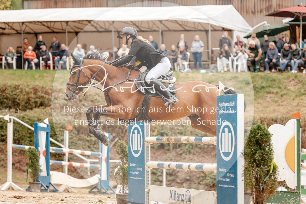 3I6A8765 | Stimmungsvolle Portraits und Reitsportfotografie im Ruhrgebiet und im Münsterland.

Pferdefotografie, Hundefotografie, Tierfotografie, Reportagen, Portraits von Tier und Mensch, Turnierfotografie in Bochum, Recklinghausen, Marl, Haltern am See, Dülmen.. - Realisiert mit Pictrs.com