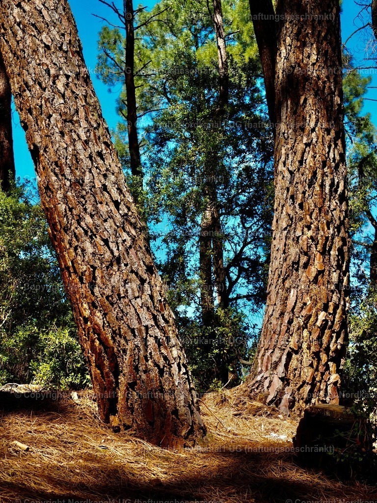 IMG_2952 | OLYMPUS DIGITAL CAMERA          - Realisiert mit Pictrs.com