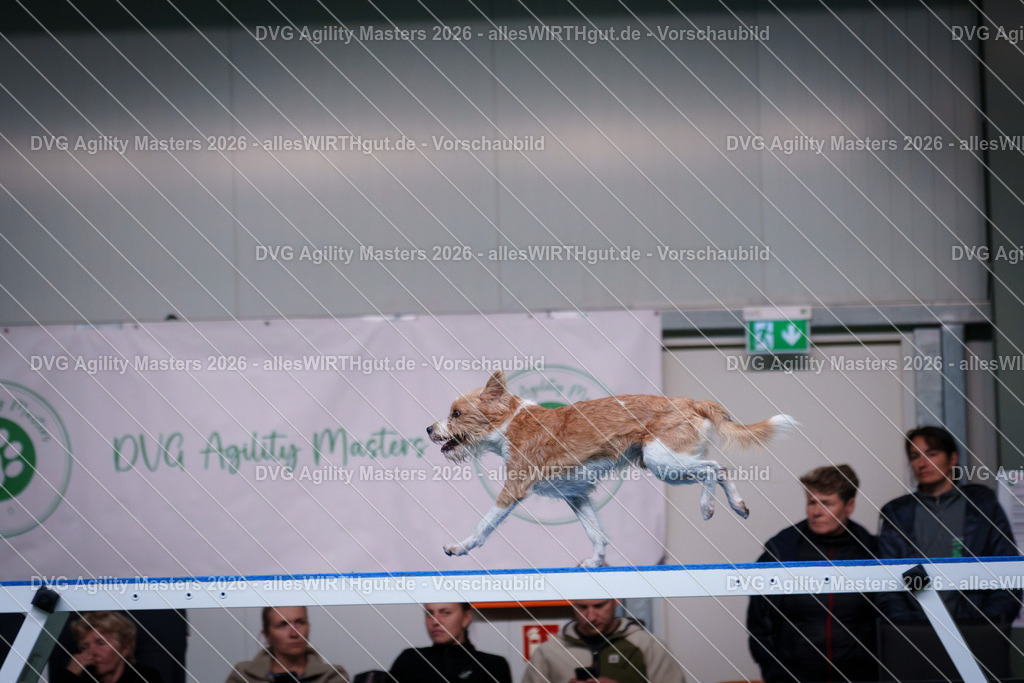 allesWIRTHgut_Tierfotografie-DVG_Agility_Masters_2026-15_05-7R506143 | Professionelle Tierfotografie in Mönchengladbach von Daniel Wirth (allesWIRTHgut). Liebevolle & natürliche Bilder von Hunden & Katzen für unvergessliche Erinnerungen.