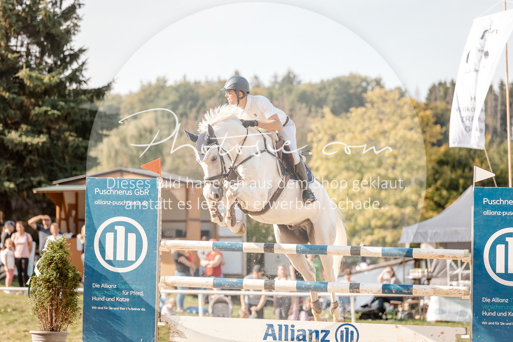 3I6A5071 | Stimmungsvolle Portraits und Reitsportfotografie im Ruhrgebiet und im Münsterland.

Pferdefotografie, Hundefotografie, Tierfotografie, Reportagen, Portraits von Tier und Mensch, Turnierfotografie in Bochum, Recklinghausen, Marl, Haltern am See, Dülmen.. - Realisiert mit Pictrs.com