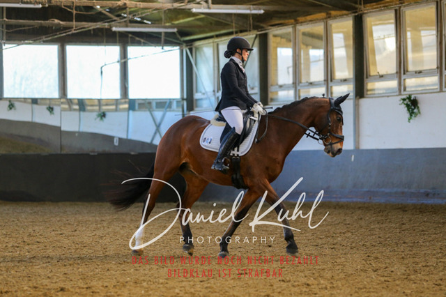 IMG_3285 | Turniersportfotografie; Pferdefotografie; Dressurfotografie