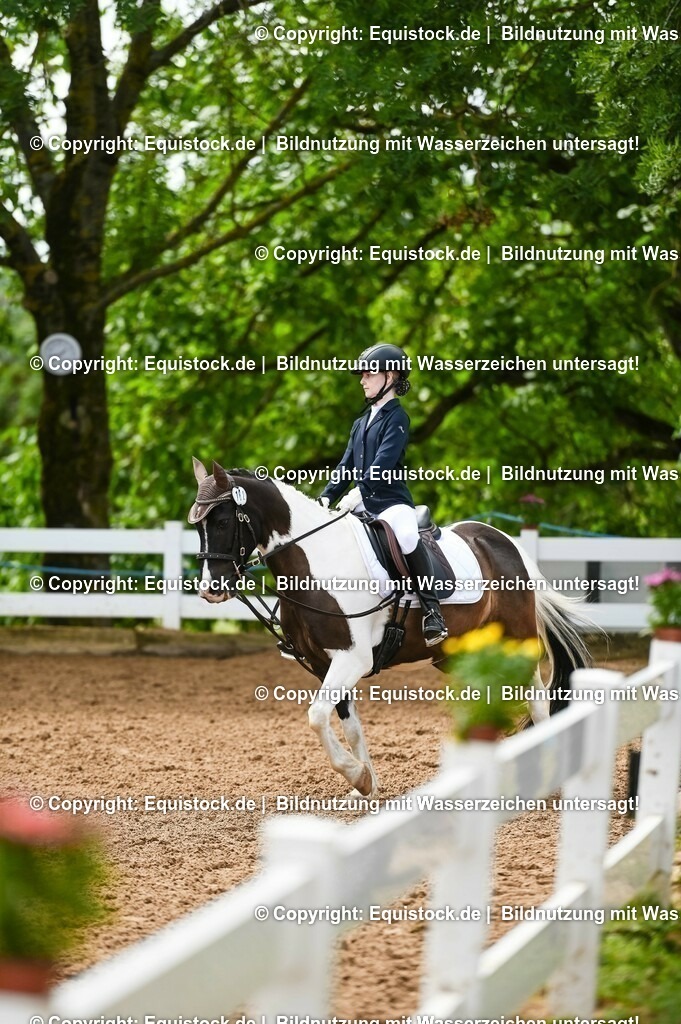 20230716_10-2_Reiter-WB Schritt - Trab - Galopp_0155 | equistock