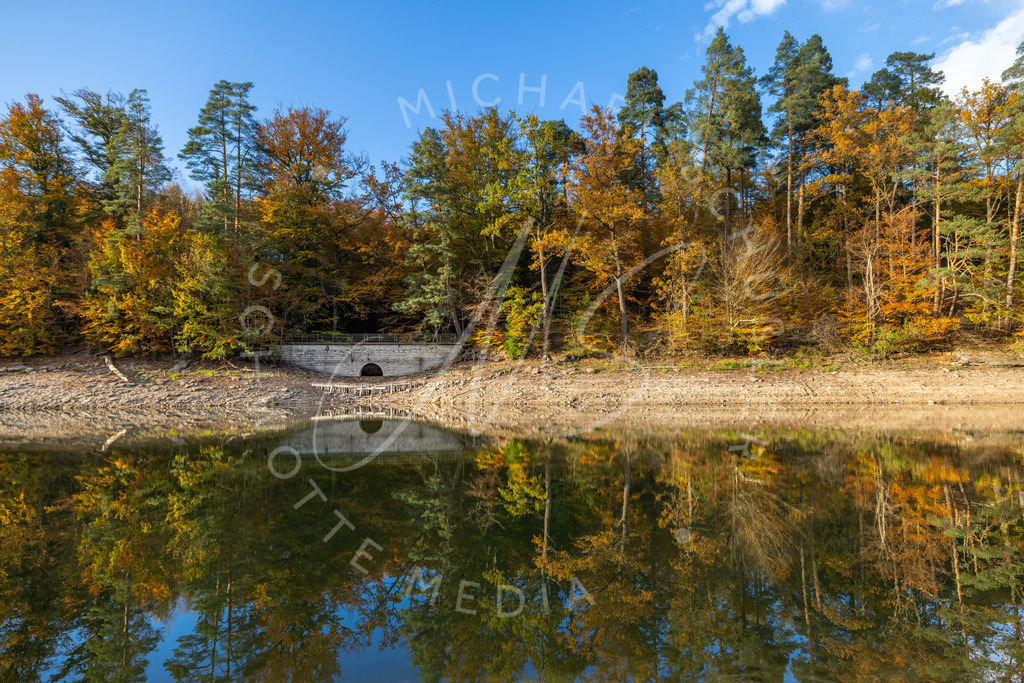 2024-10-23 Stuttgart Herbst Solitude 012 | Schwotte Media - Realisiert mit Pictrs.com