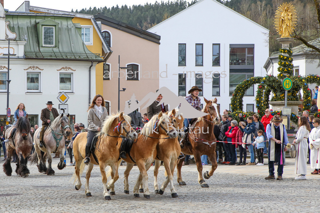 OE7A2211 | Medien- Sport- Entertainmentfotos