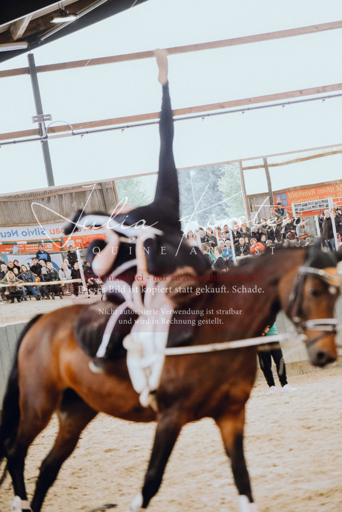 DSC_6907 | Pferde- und Turnierfotografie in Westsachsen. Pferdeportraits, Auftragszeichnungen und intuitive Kunst.