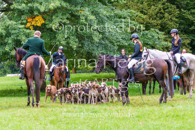 Jagd Perdoel 26 Sony-04186_MarinaHewig | Fotografie, FotoArt, PferdesportArt, Pferdesportfotografie, Landschaftsfotografie, Reisefotografie, Reise, Pferde - Realisiert mit Pictrs.com