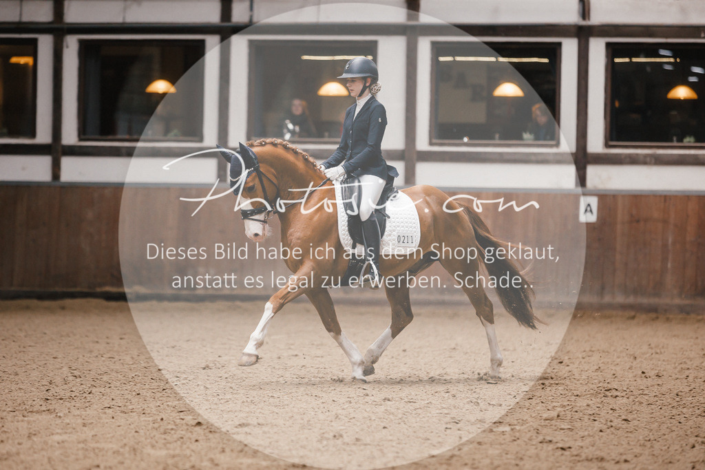 3I6A7175 | Stimmungsvolle Portraits und Reitsportfotografie im Ruhrgebiet und im Münsterland.

Pferdefotografie, Hundefotografie, Tierfotografie, Reportagen, Portraits von Tier und Mensch, Turnierfotografie in Bochum, Recklinghausen, Marl, Haltern am See, Dülmen.. - Realisiert mit Pictrs.com