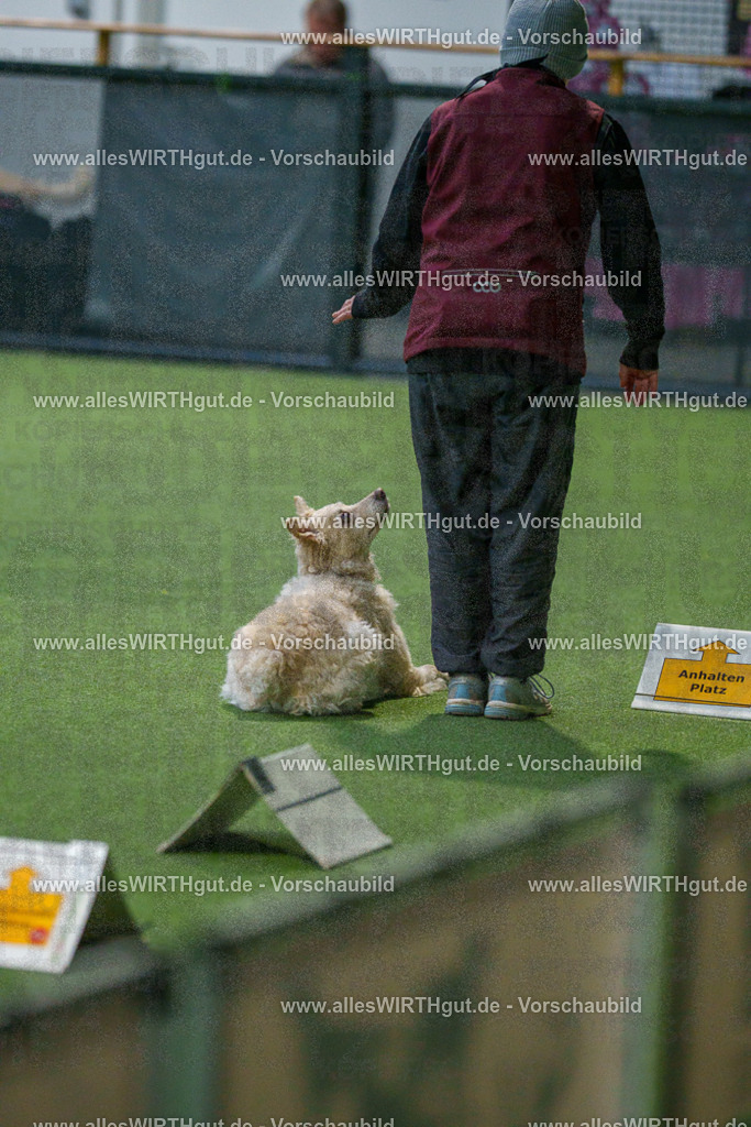 7R507984 | Professionelle Tierfotografie in Mönchengladbach von Daniel Wirth (allesWIRTHgut). Liebevolle & natürliche Bilder von Hunden & Katzen für unvergessliche Erinnerungen.