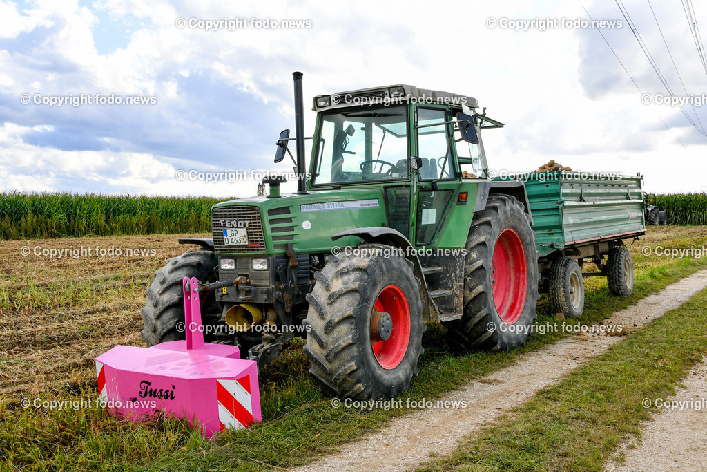Deutschland_ Baden-Wuerttemberg_ Ebersbach an der Fils_ 30.08.2025-5 | 30.08.2025, Deutschland, GER, Baden-Wuerttemberg, Ebersbach an der Fils, im Bild Themenbild, Kartoffelernte, Erdaepfel, Landwirtschaft, Bauer, Baeuerin, Erntemaschinen, Kartoffelroder, Traktor, Anhaenger, Erntehelfer, Ackerbau, Bodenbearbeitung, Knollenernte, Landwirtschaftsbetrieb, Feld, Feldarbeit, Acker, Erntetransport, landwirtschaftliche Technik, Agrarwirtschaft, Sortieranlage, Lagerung, Erntezeit, Fruchtfolge, Schlepper, Erntelogistik, Bio-Kartoffeln, mechanische Ernte, Agrartechnik, saisonale Arbeit, Nahrungsmittelproduktion, Feature, Symbolbild